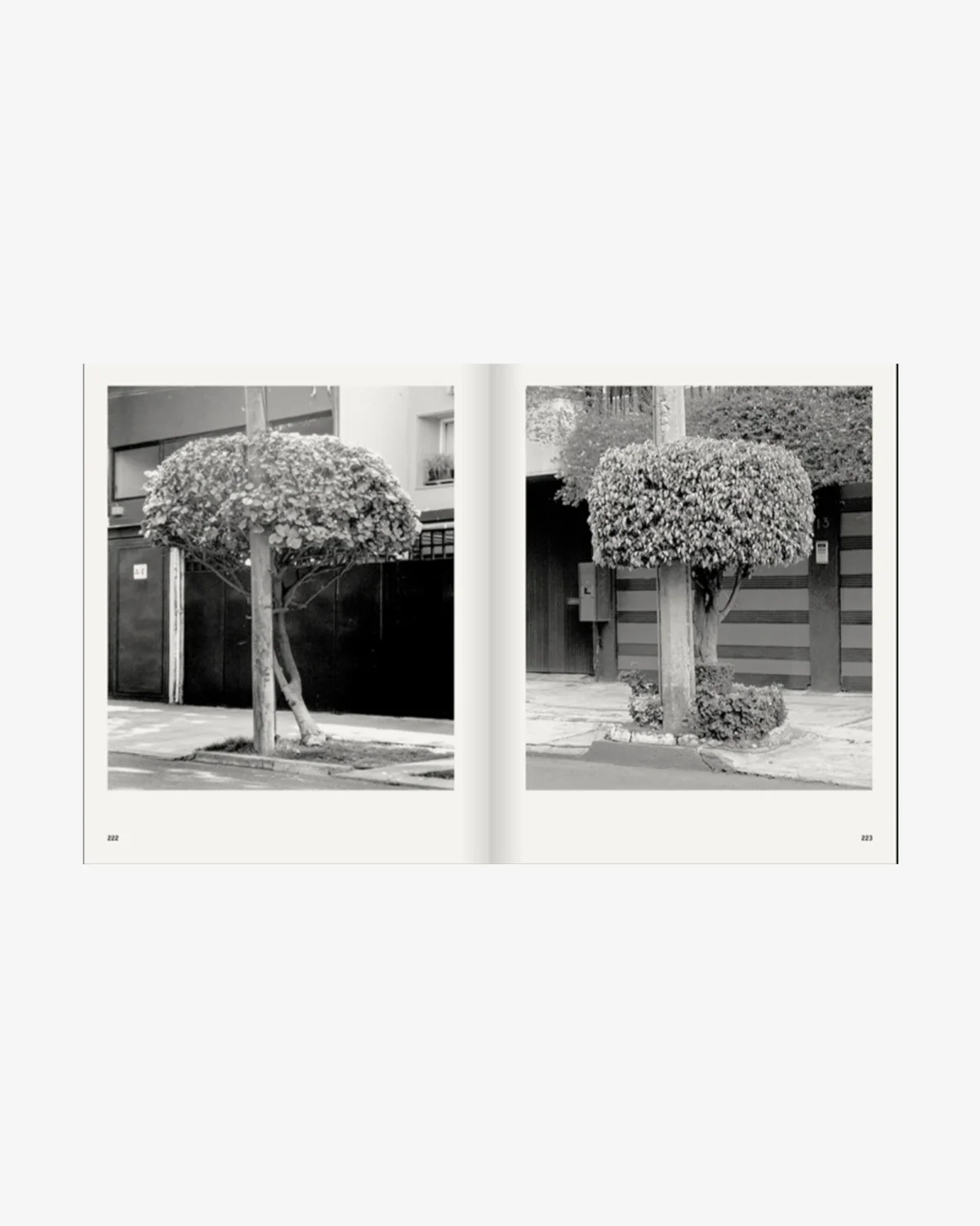 A Guide on Gardening