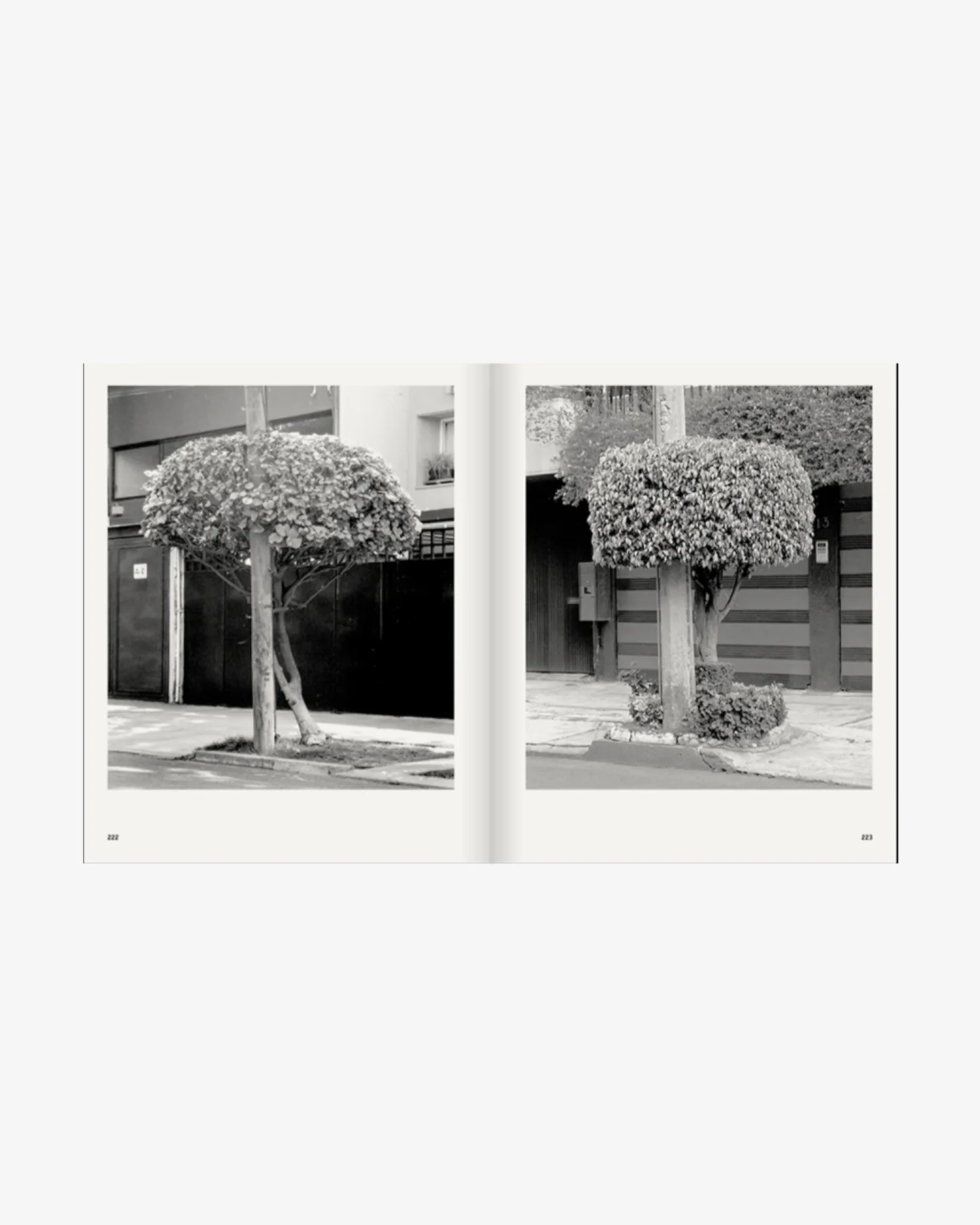 A Guide on Gardening