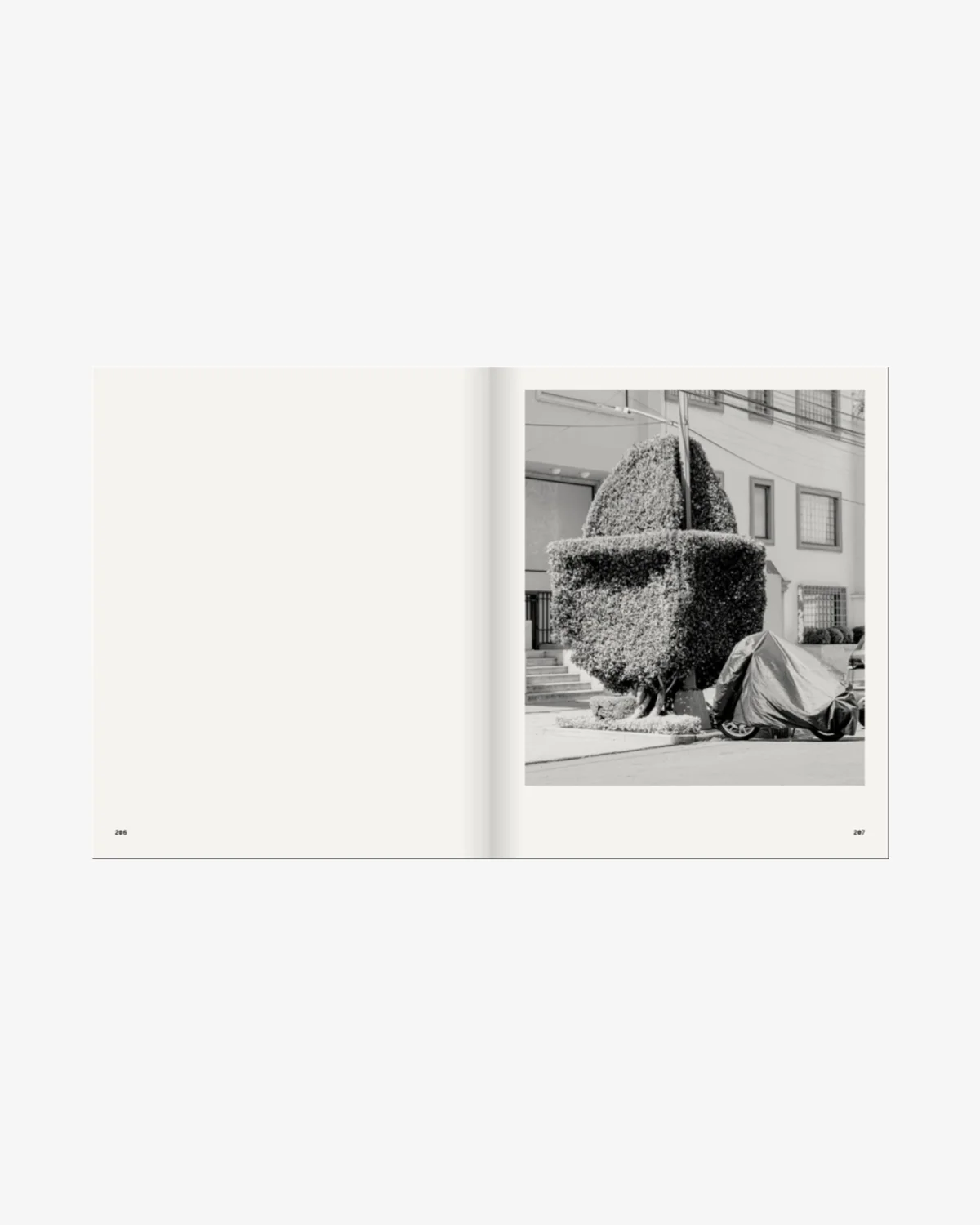 A Guide on Gardening