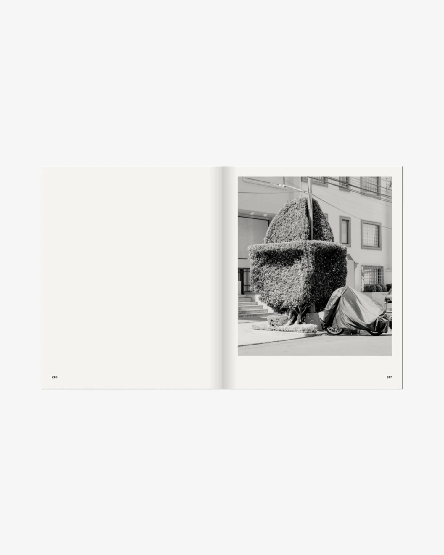 A Guide on Gardening