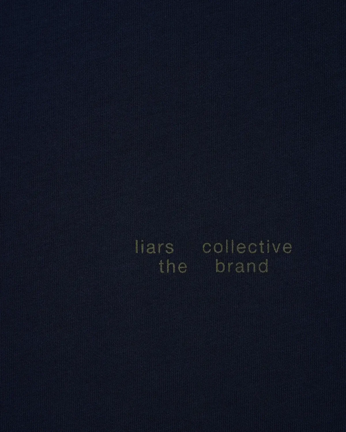 Longsleeve 'Visual Metaphor' Blue