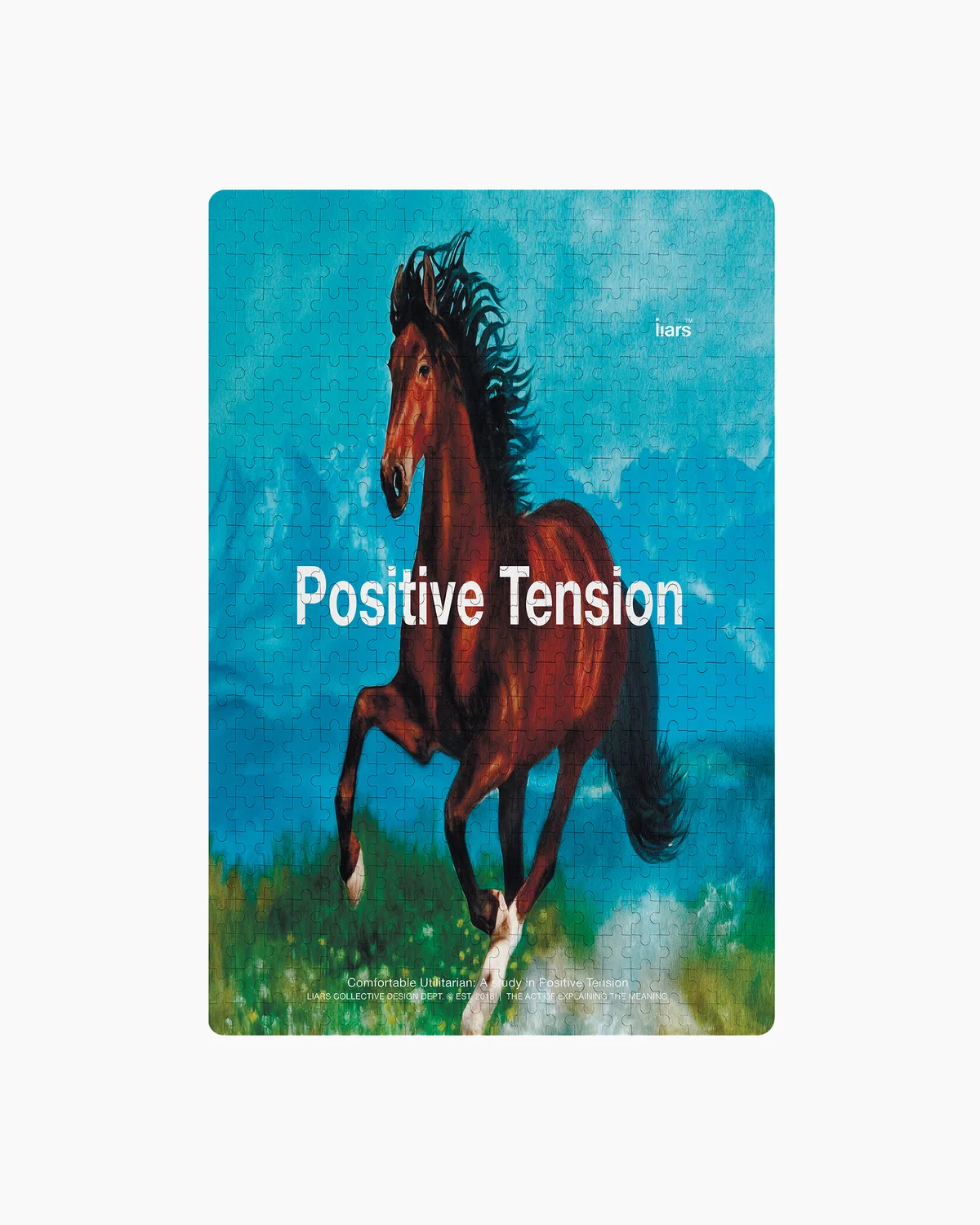 Puzzle500 'Positive Tension'