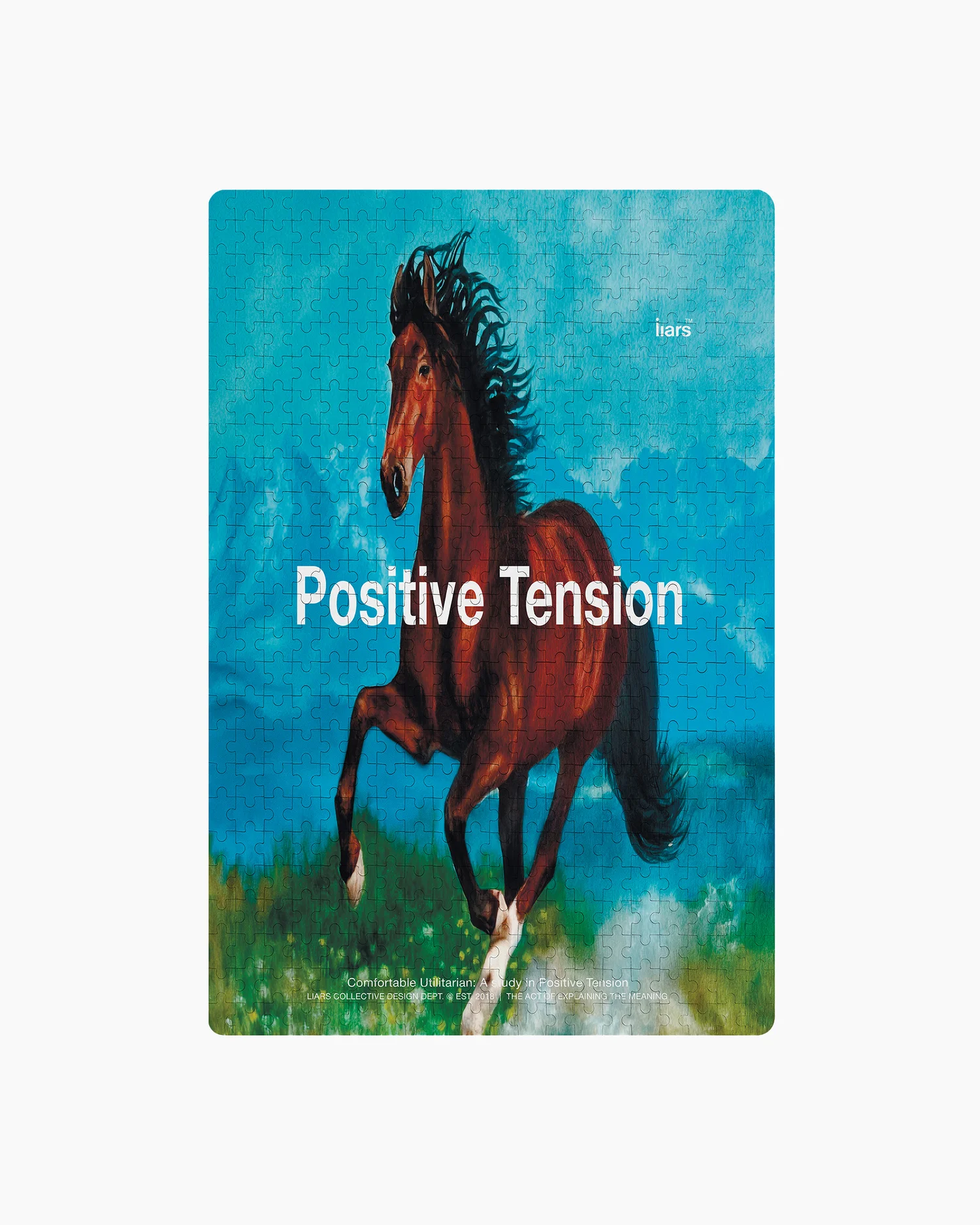 Puzzle500 'Positive Tension'