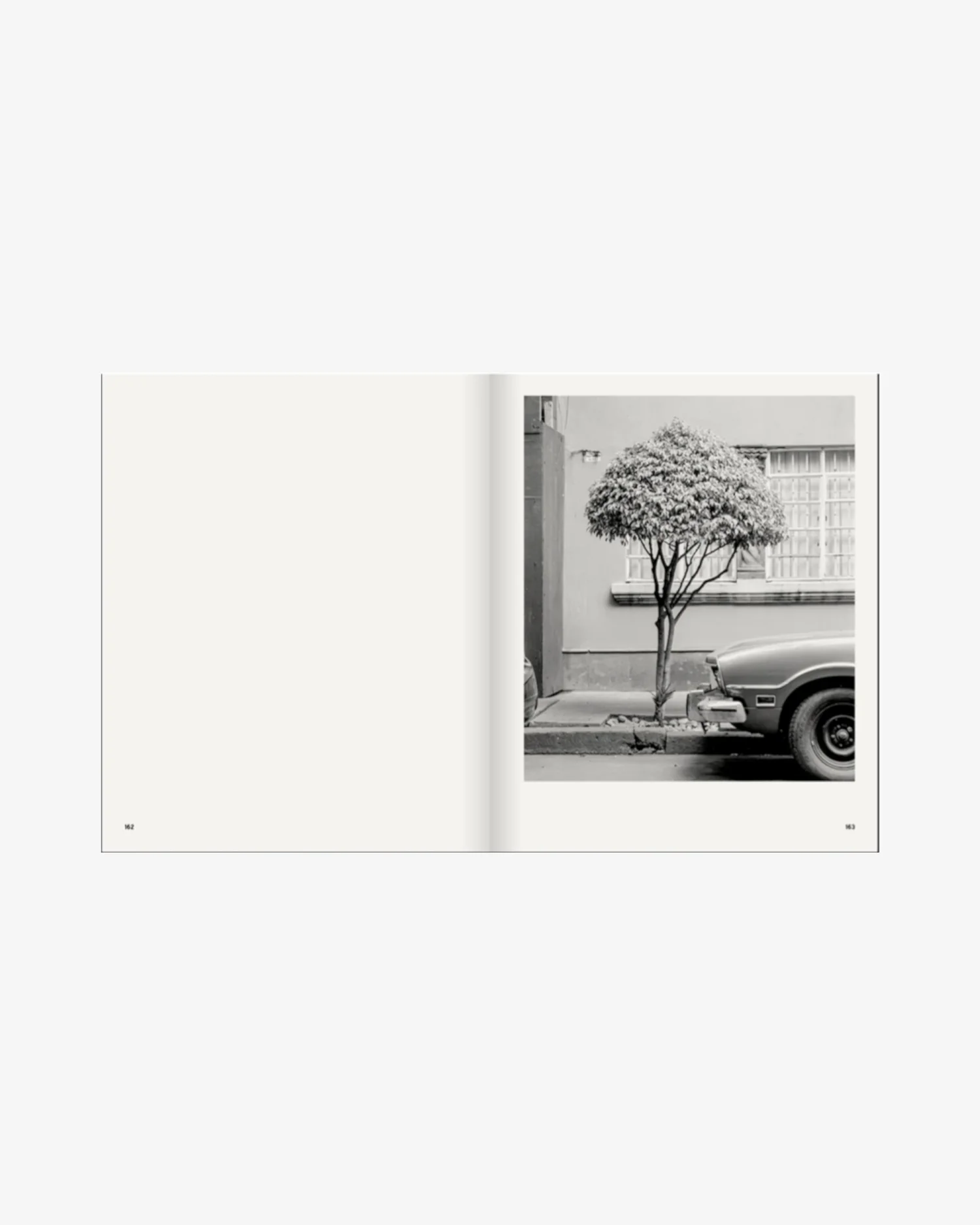 A Guide on Gardening