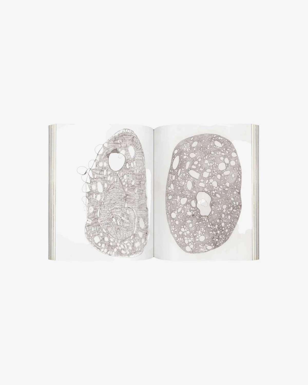 Mousse #90 Winter 2025