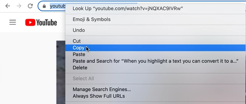 Copying Youtube video's URL from the browser's address bar