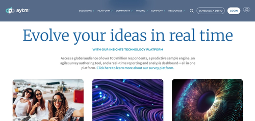 Aytm (Ask Your Target Market)