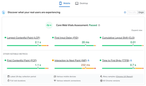 Chrome User Experience Report (CrUX) on a webpage.