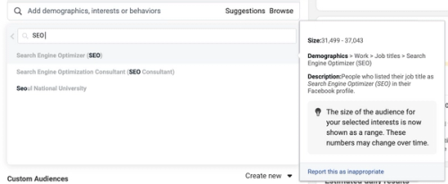 Targeting search engine optmization consultants through Facebook ads