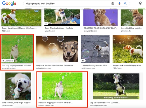 Two websites rank with the same photo in Google Image Search