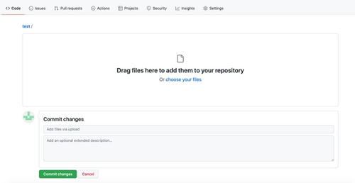 This is the area where we can drag and drop and then comment our files