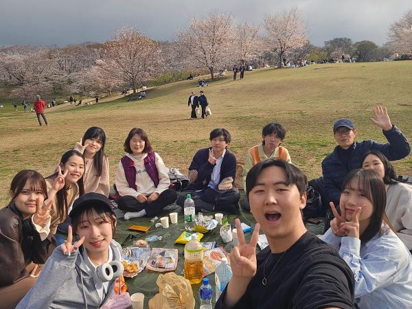 横浜ピクニック