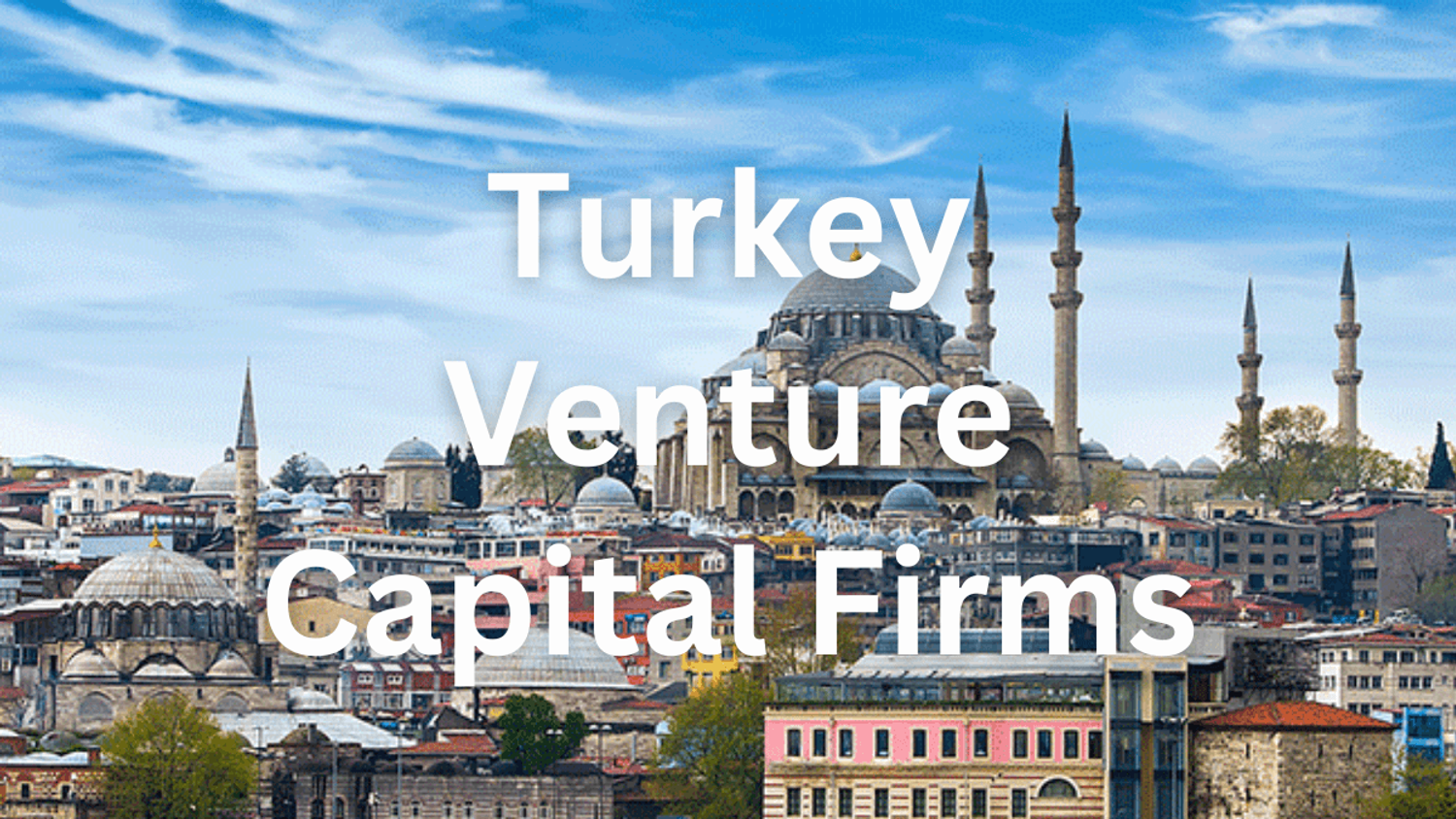 Panoramic view of Istanbul with the Bosphorus, historic mosques, and bustling cityscape, reminiscent of the venture capital firms in Turkey