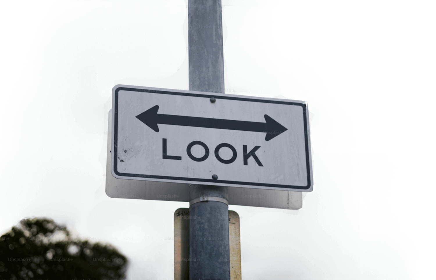 A sign with the word "Look" and arrows pointing both ways, symbolizing a startup's pivot decision.