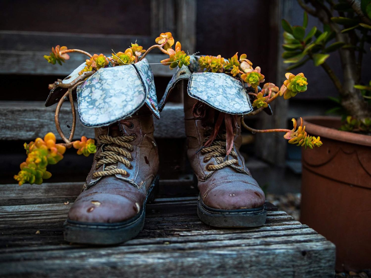 Bootstrapping startup