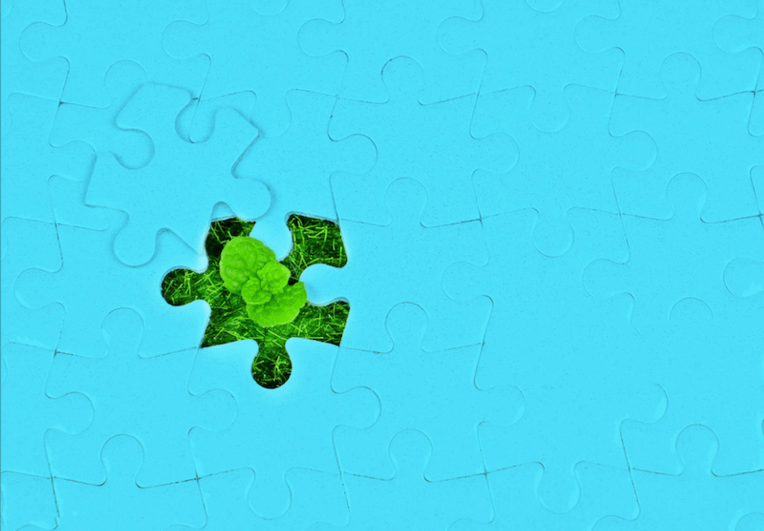 A puzzle piece lifting to reveal a growing plant underneath, symbolizing growth of pre seed vs seed funding