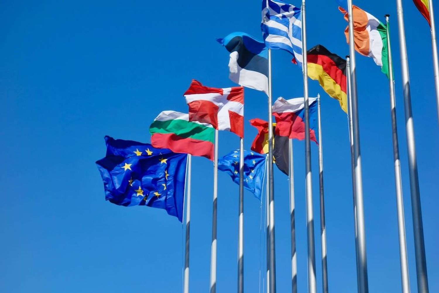 fastest growing startups under the European union flags