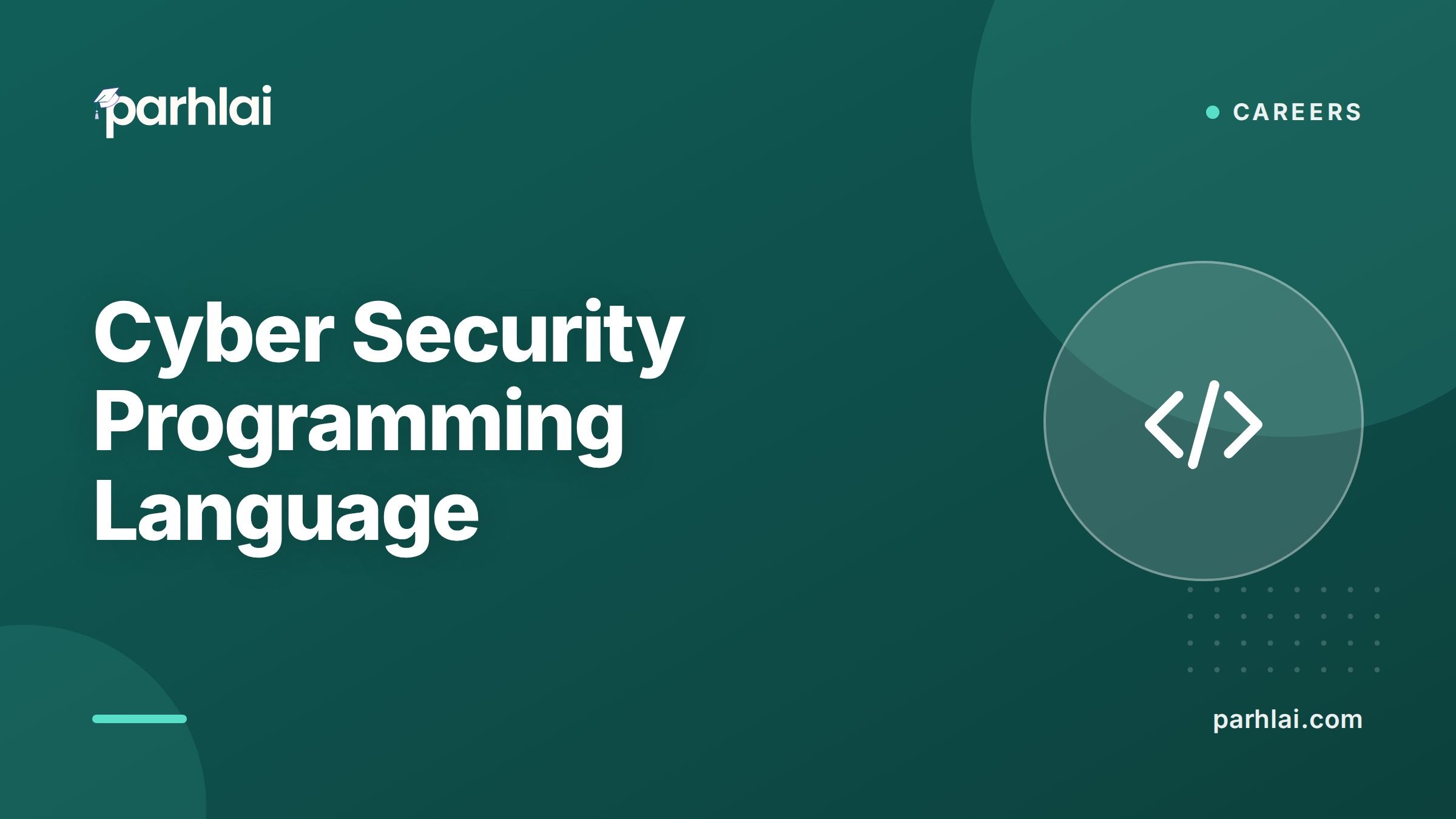 Best Programming Language for Cyber Security: A Student's Guide