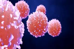 Minimal Residual Disease in Adult ALL