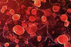 September is Blood Cancer Awareness Month