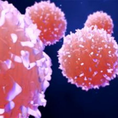 Cancer Inflammaging: Understanding the Role of Aging and Inflammation in Cancer