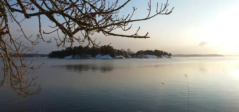 200 000 torskyngel i Baggensfjärden