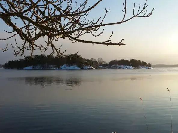 200 000 torskyngel i Baggensfjärden