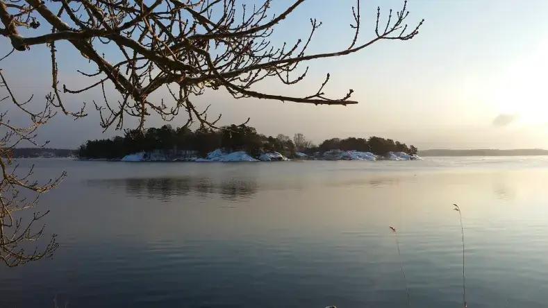 200 000 torskyngel i Baggensfjärden