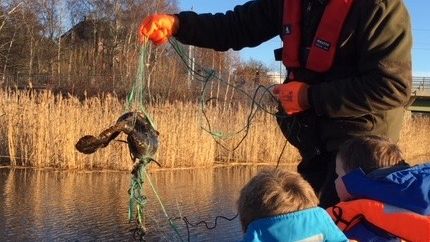 Fiska lake i Neglingemaren