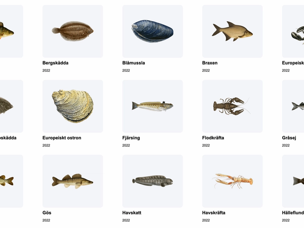 Hur mår Sveriges fiskar och skaldjur?