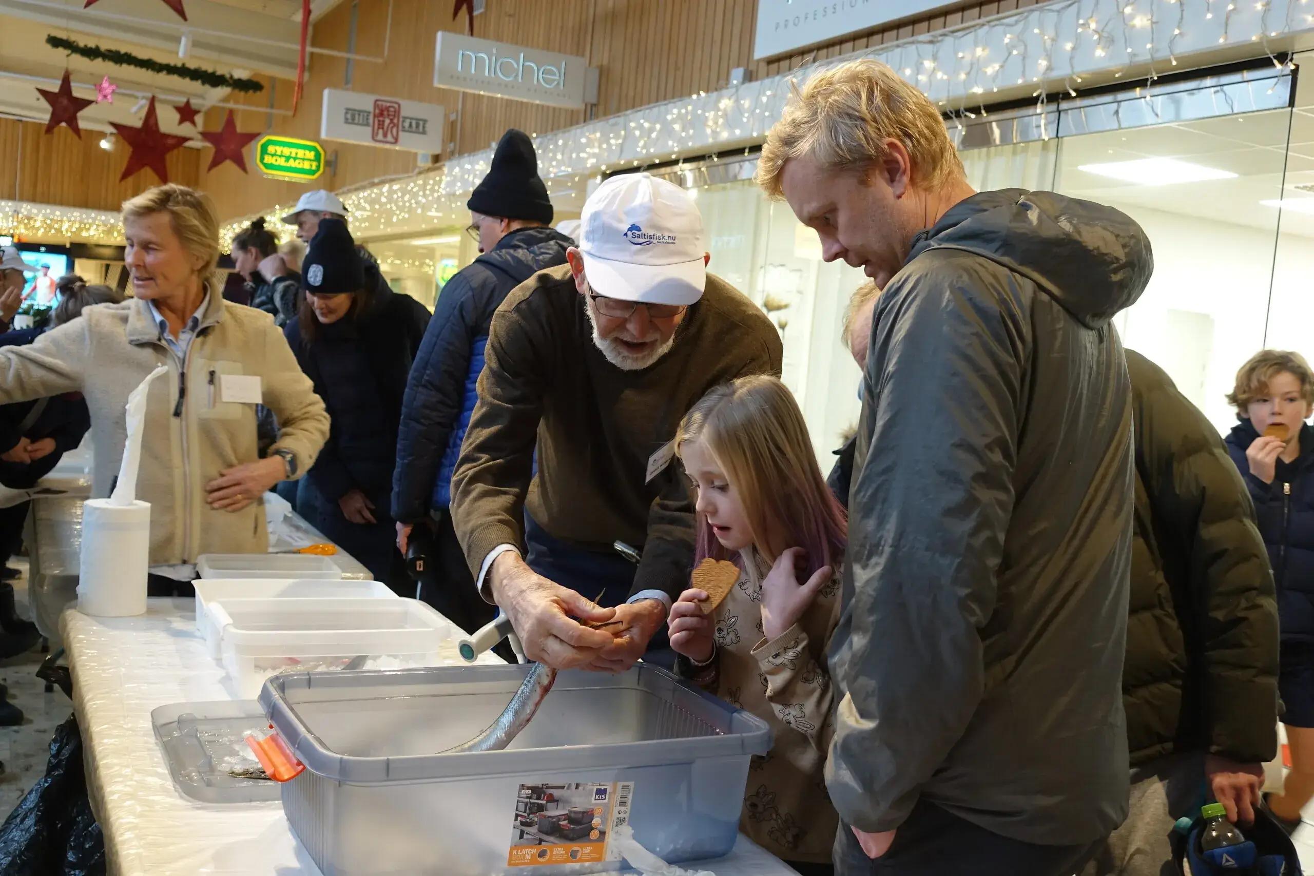Fiskar i våra vatten 2024