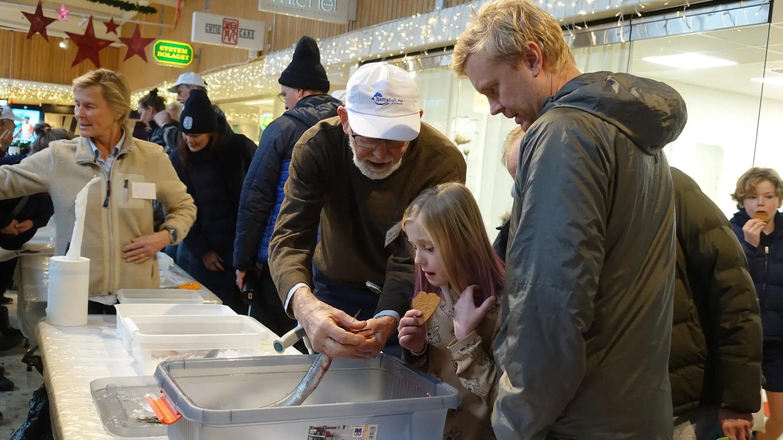 Fiskar i våra vatten 2024