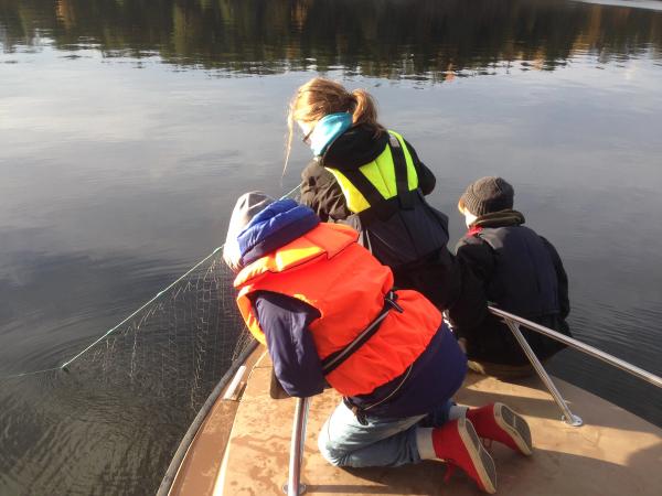 Provfiske i Vårgärdssjön