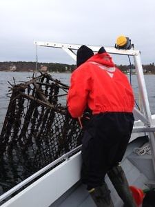 Musslor på riggarna !