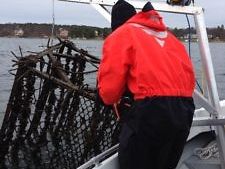 Musslor på riggarna !