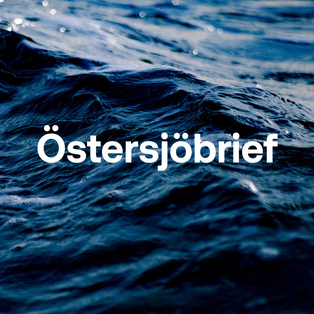 Vågor vid Saltsjöbaden
