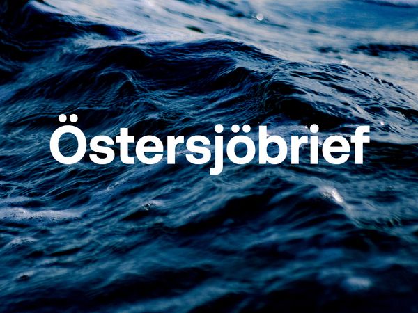 Vågor vid Saltsjöbaden
