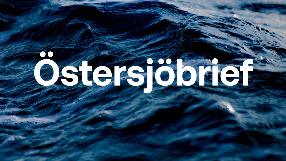 Vågor vid Saltsjöbaden