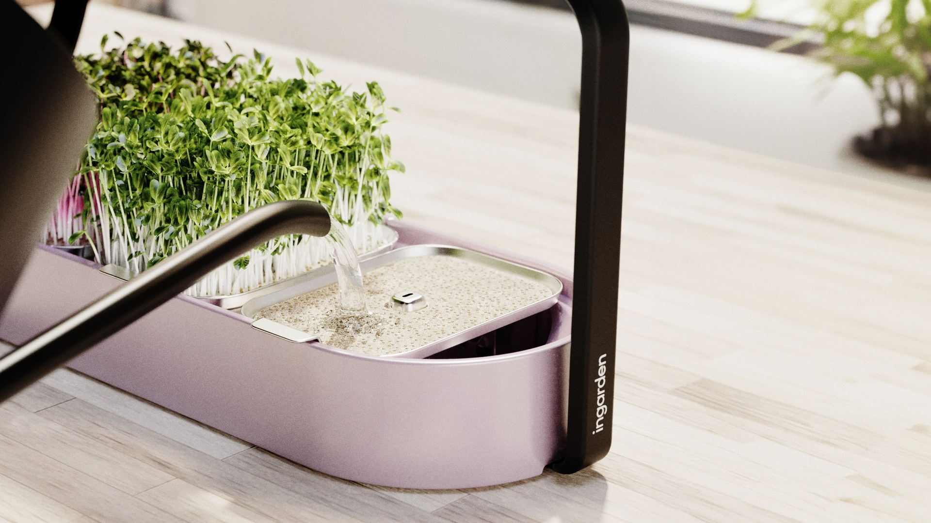 Ingarden indoor growing startup with sustainable home cultivation technology and Scandinavian design.