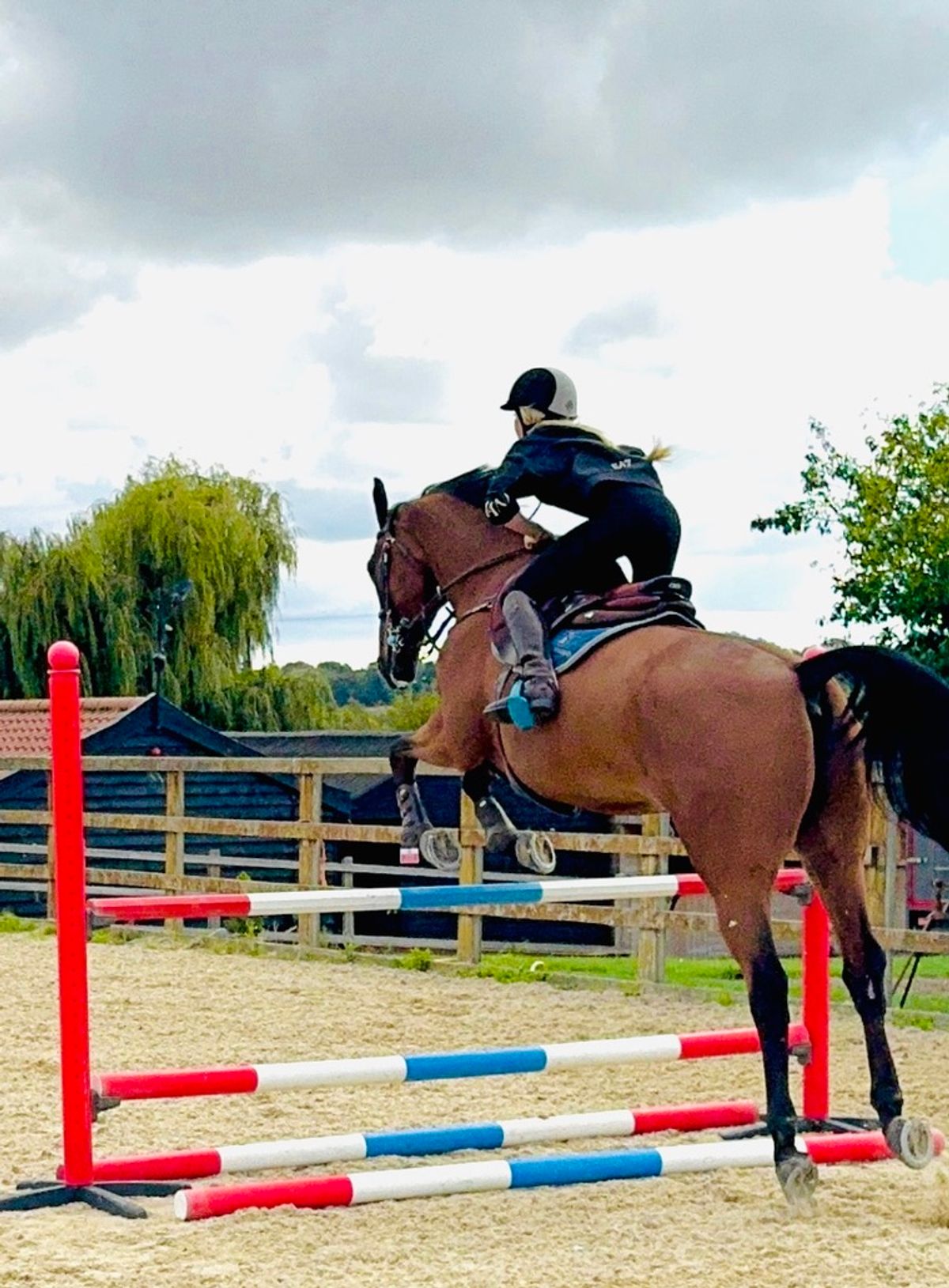 Show Jumping Test