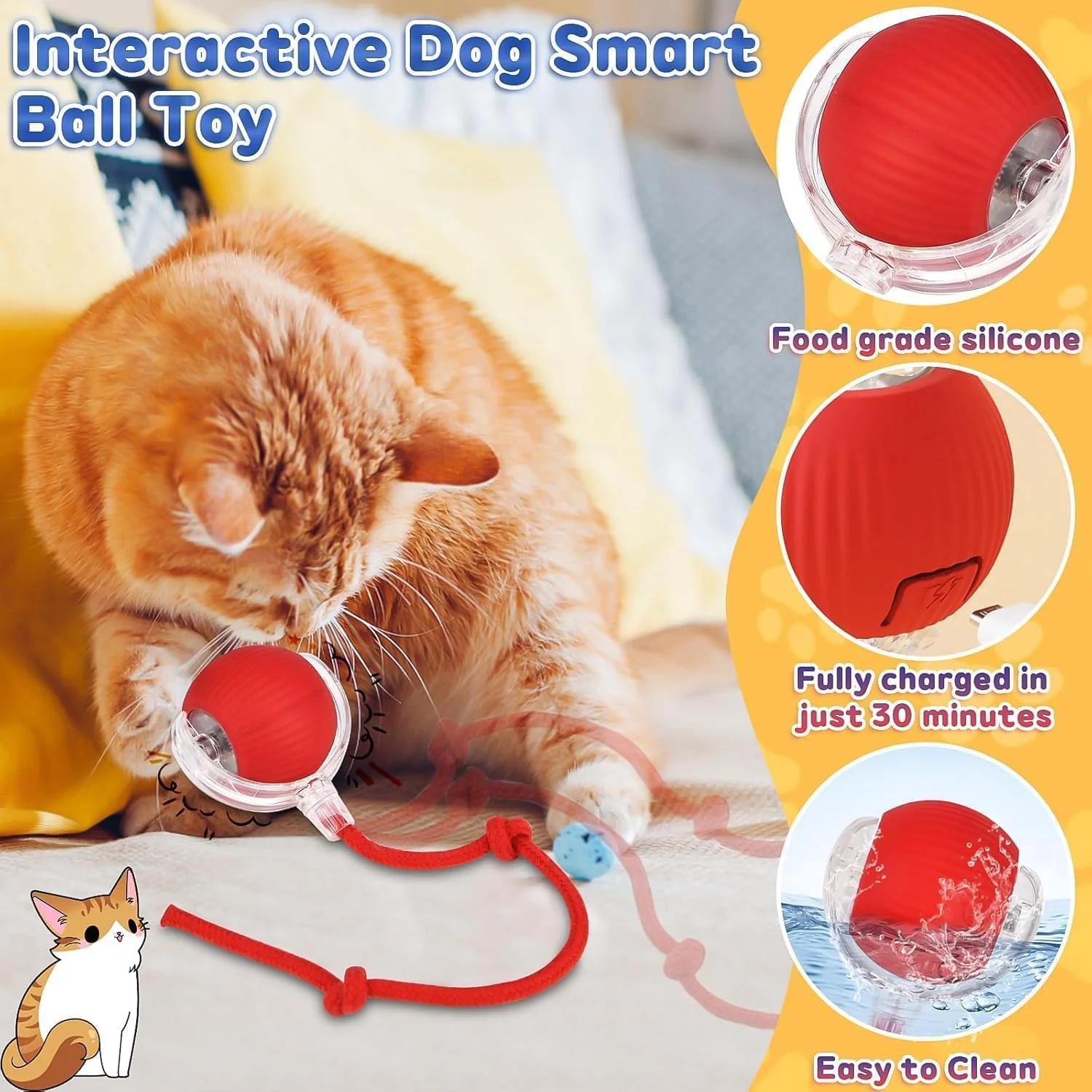 Rechargeable Interactive Cat Toy Ball with Detachable Tail and LED Light thumbnail 8