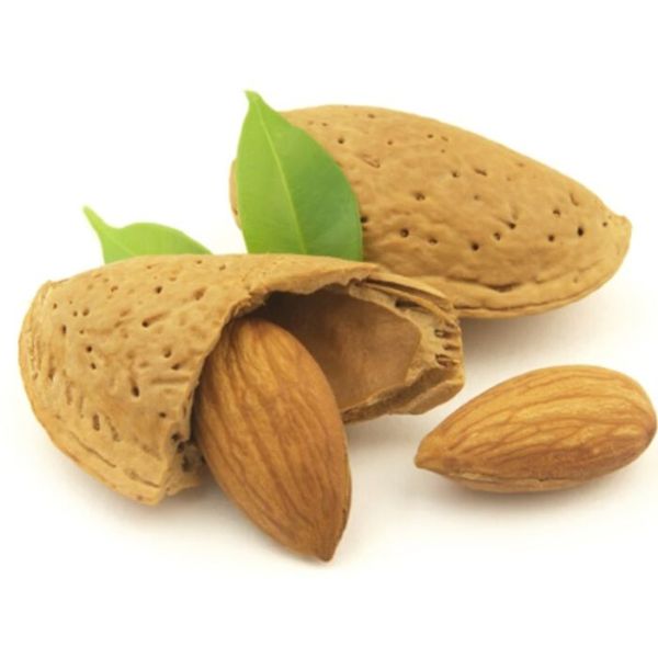 Bari Shell Almond thumbnail 3