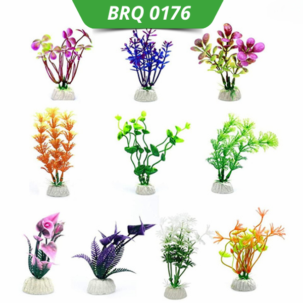 10 PCS PLANT thumbnail 1