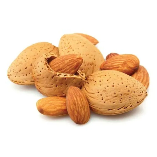 Bari Shell Almond