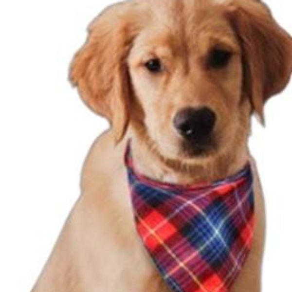 CAT AND DOG BANDANA SCRAF (DOG) thumbnail 1