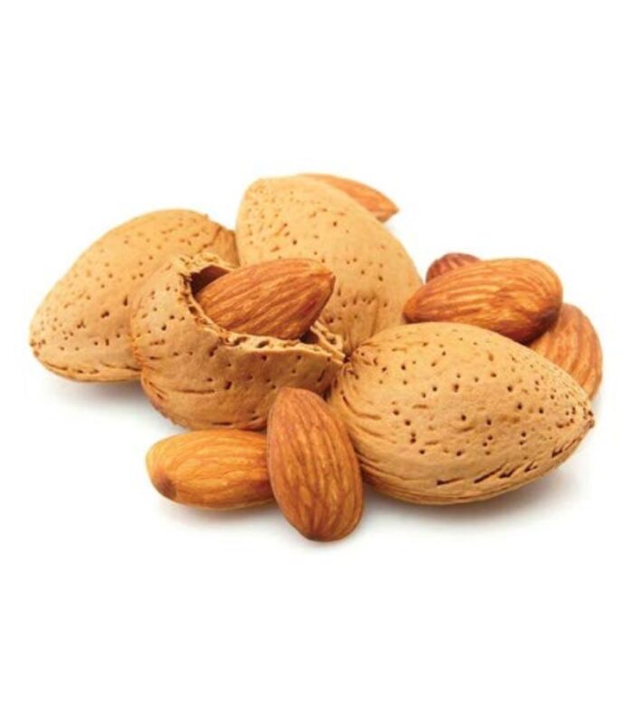 Bari Shell Almond thumbnail 2