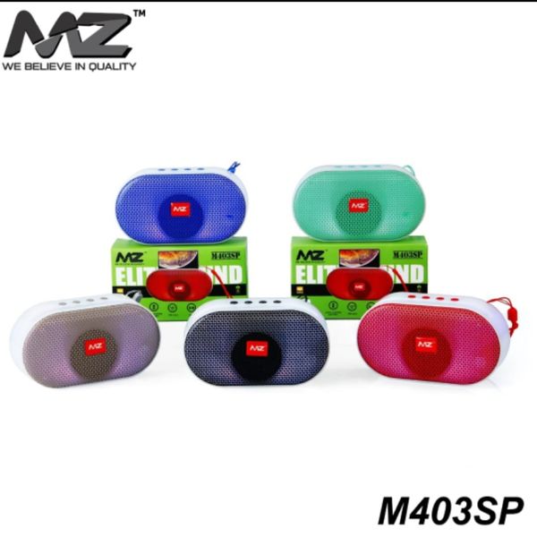 MZ Sepekar thumbnail 1