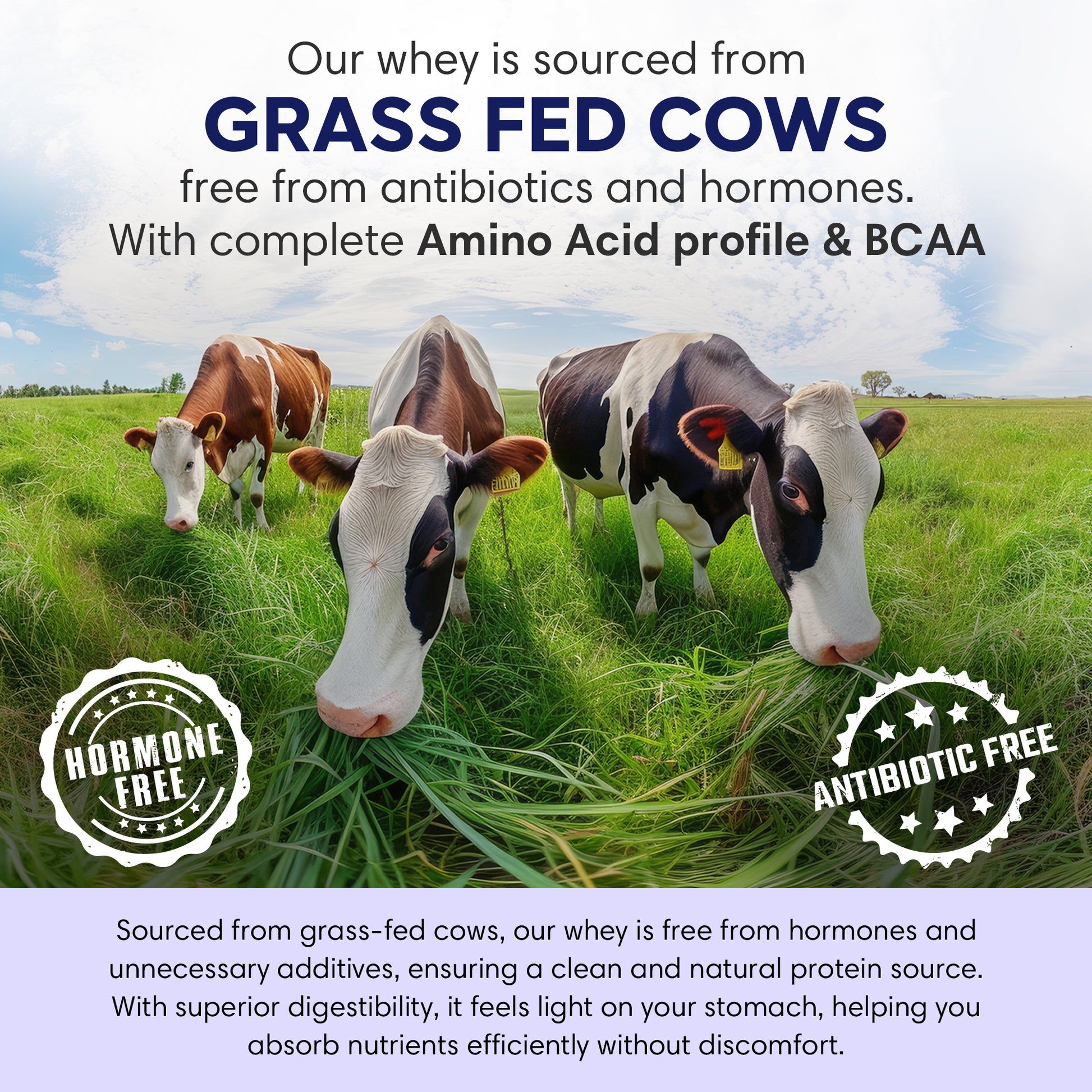 Travel Pack Whey Chocolate thumbnail 2