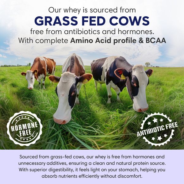 Travel Pack Whey Chocolate thumbnail 2