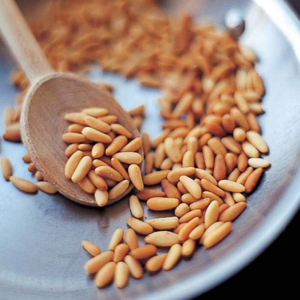 Pine Nuts (Chilgoza) thumbnail 2